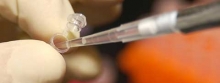 10 jaar genetische genealogie in de Benelux: ontrafel je stamboom aan de hand van je DNA!